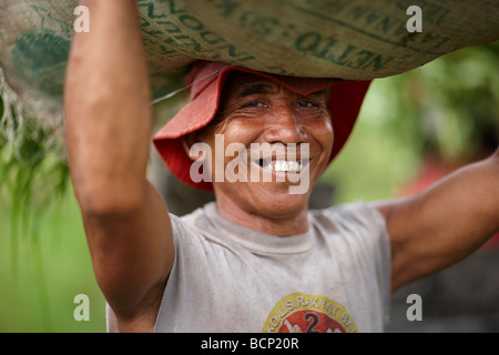 Un agricoltore che porta un sacco di riso sulla sua testa, nr Tirtagangga, Bali, Indonesia Foto Stock