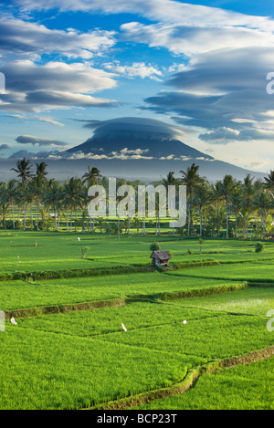 Un drammatico cielo sopra il picco vulcanico di Gunung Agung e i campi di riso, nei pressi di Ubud, Bali, Indonesia Foto Stock