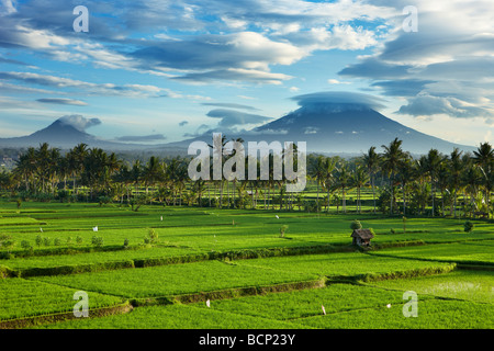 Nuvole temporalesche cancellazione oltre il picco vulcanico di Gunnung Anung e i campi di riso, nei pressi di Ubud all'alba, Bali, Indonesia Foto Stock