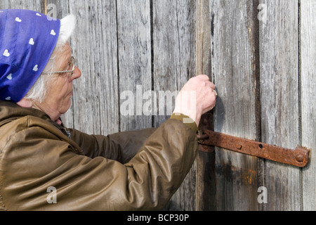 Frau in ihren Siebzigern mit Kopftuch schließt den Riegel am Scheunentor auf ihrem Bauernhof Foto Stock