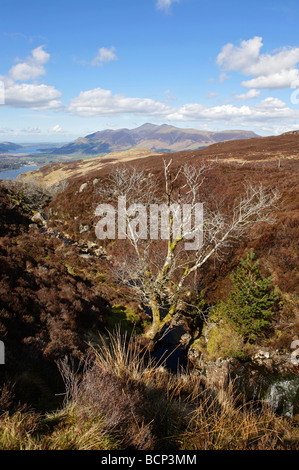 Skiddaw in primavera Foto Stock