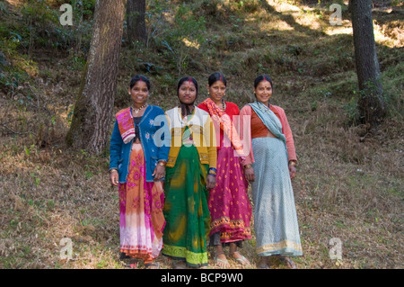 Donna indiana la raccolta di moss nella foresta, Himalayan, Pedemontana, stazioni di collina, Alai, Uttaranchal, nord-est dell India Foto Stock