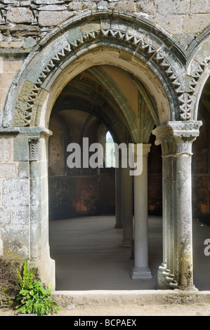 Abbeye Maritime de Beauport vicino a Paimpol in Bretagna Foto Stock