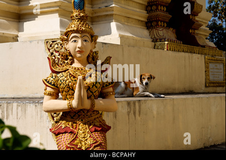 Temple Dog e una statua che tiene il tradizionale saluto Thai pongono Foto Stock