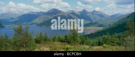 Una vista panoramica delle cinque sorelle di Kintail dalla foresta Ratagan in Glenshiel. Foto Stock