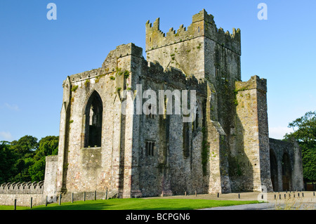 Tintern Abbey, nella contea di Wexford Foto Stock