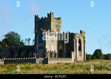 Tintern Abbey, nella contea di Wexford Foto Stock