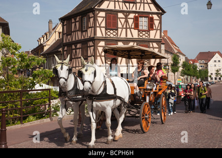 Colmar Haut-Rhin Alsace Francia turisti cavallo e carrozza gita turistica in "Piccola Venezia" area della città vecchia sul vino alsaziano Foto Stock