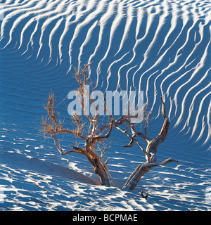 Badain Jaran deserto, Ejin Banner, Mongolia Interna Regione Autonoma, Cina Foto Stock