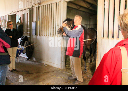 Il proprietario del cavallo trainer colloqui con i turisti il purosangue Center Lexington Kentucky Foto Stock