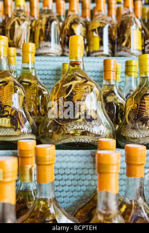 Bottiglie di vino di serpente sul display in Vietnam Foto Stock