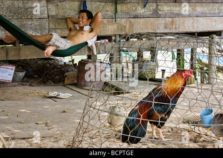 Un uomo vietnamita in una amaca fuori di casa sua accanto a un galletto in una gabbia di fili Foto Stock