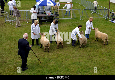 Il Royal Welsh Show, Builth Wells, Powys, Wales, Regno Unito Foto Stock