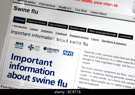 Influenza suina consigli sul sito web di NHS Foto Stock