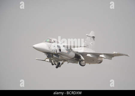 Saab Griped JAS 39 jet da combattimento Foto Stock