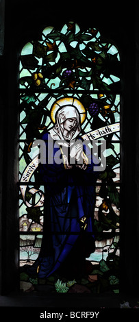 Prestbury chiesa st Pitter è religiosa cristiana in vetro colorato del patrimonio religioso cattolico icona religione iconica pregare graphic pic Foto Stock