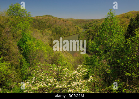 Vista di Cumberland River Gorge dalla terrazza di Dupont Lodge in Cumberland Falls membro Resort Park Corbin Kentucky Foto Stock