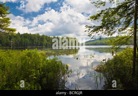 Bubb vicino Lago Eagle Bay nelle Montagne Adirondack di New York Foto Stock