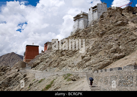 Namgyal Tsemo Gompa. Leh. Ladakh. India Foto Stock