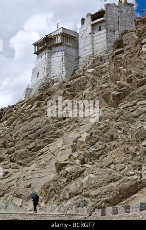 Namgyal Tsemo Gompa. Leh. Ladakh. India Foto Stock