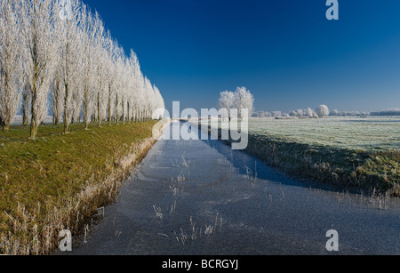 Mulino a vento Noordermolen, Noorddijk, Groningen, Paesi Bassi Foto Stock