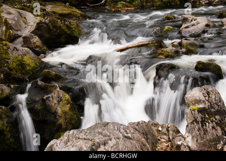 Betws-y-coed cascata nel Galles del Nord Foto Stock