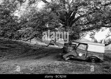 Land Rover relitto sotto agli alberi. Foto Stock