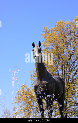 Man O War Memorial, il Kentucky Horse Park Lexington Kentucky Foto Stock