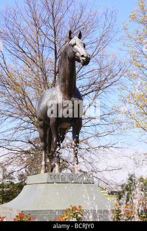 Man O War Memorial, il Kentucky Horse Park Lexington Kentucky Foto Stock