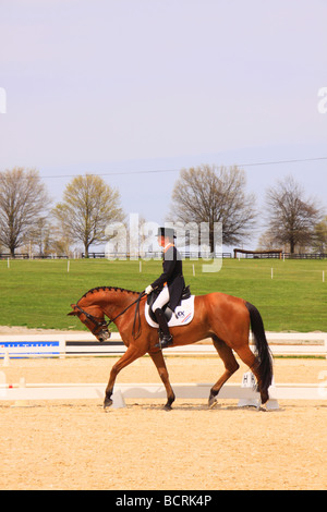 Cavallo e cavaliere durante il dressage Evento Rolex tre giorni della manifestazione il Kentucky Horse Park Lexington Kentucky Foto Stock