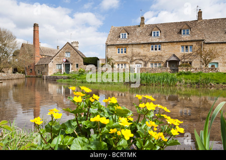 Primavera accanto al fiume occhio nel villaggio Costwold di Lower Slaughter, Gloucestershire Foto Stock