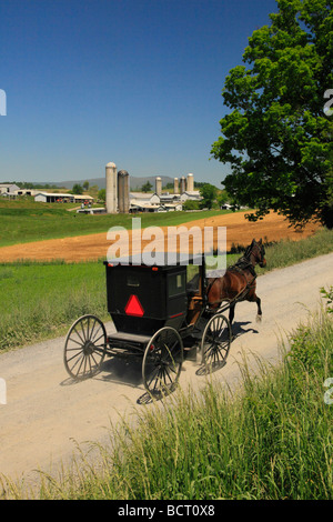 Mennonita buggy sulla strada vicino a Dayton nel Shenandoah Valley Virginia Foto Stock