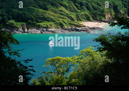 Vista dell'ingresso a Salcombe Harbour South Devon England Regno Unito Foto Stock