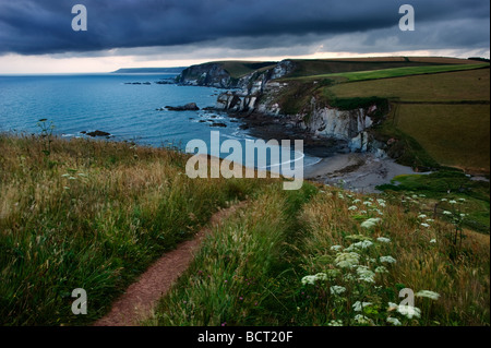 Vista guardando a nord-est dalla costa percorso sopra Ayrmer Cove South Devon England Regno Unito Foto Stock