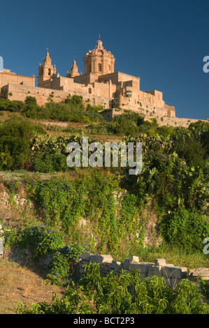 Vista della Cattedrale Mdina Malta Foto Stock