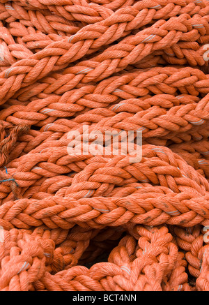 Arancione sullo sfondo della fune Foto Stock