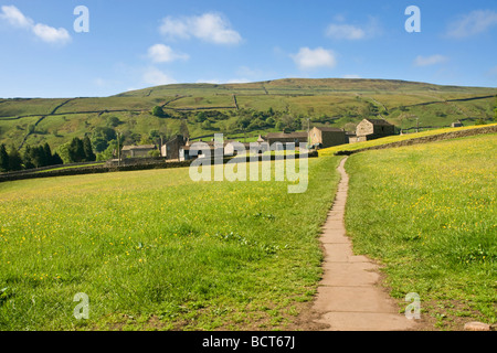 Fiori di Primavera in una tradizionale fieno prato in Swaledale, Yorkshire Dales National Park. Foto Stock