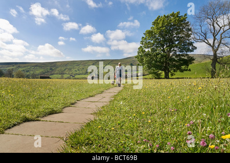 Fiori di Primavera in una tradizionale fieno prato in Swaledale, Yorkshire Dales National Park. La foto mostra un camminatore e un cane. Foto Stock