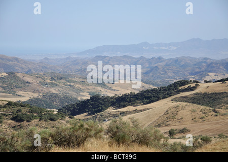 Paesaggio con oliveti, vicino a Antequera, provincia di Malaga, Andalusia, Spagna Foto Stock