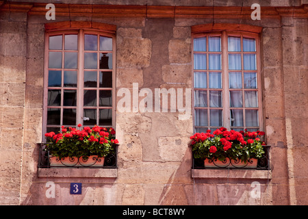 Windows e fioriere in San Germain, Parigi Francia Foto Stock