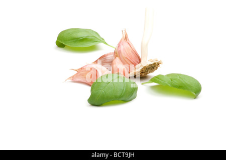 4 spicchi di aglio e le foglie di basilico su sfondo bianco Foto Stock