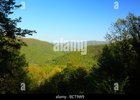 Vista da Shenandoah Mountain Trail Shenandoah Mountain West Virginia Augusta Foto Stock