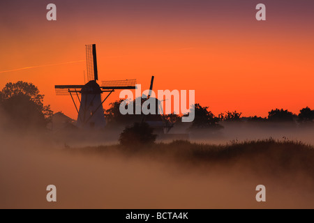 Gloria di mattina nel piccolo villaggio di Ten Boer nella provincia di Groninga nella parte settentrionale dei Paesi Bassi Foto Stock