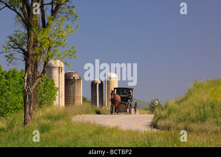 Mennonita buggy sulla strada vicino a Dayton nel Shenandoah Valley Virginia Foto Stock