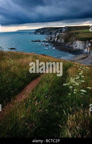 Vista guardando a nord-est dalla costa percorso sopra Ayrmer Cove South Devon England Regno Unito Foto Stock