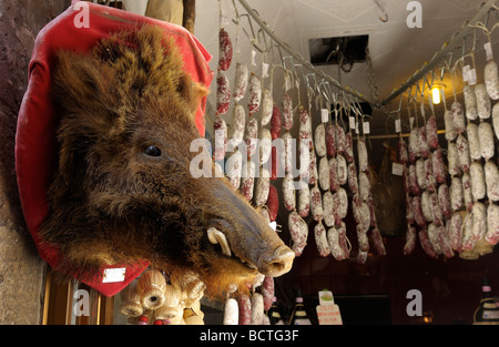 Testa farcita di un maiale selvatico in un macellaio, Siena IT Foto Stock