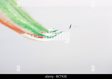 Frecce tricolori acrobatica team italiano piani e due gabbiani Foto Stock