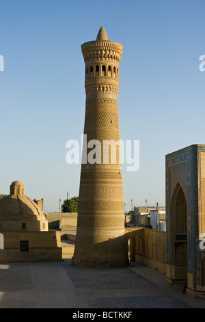 Minareto Kalon a Bukhara Uzbekistan Foto Stock