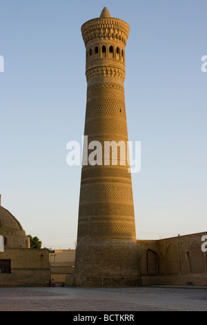 Minareto Kalon a Bukhara Uzbekistan Foto Stock