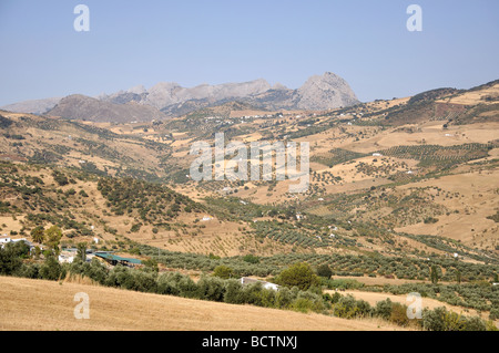 Sierra de las Cabras vicino a Antequera, provincia di Malaga, Andalusia, Spagna Foto Stock